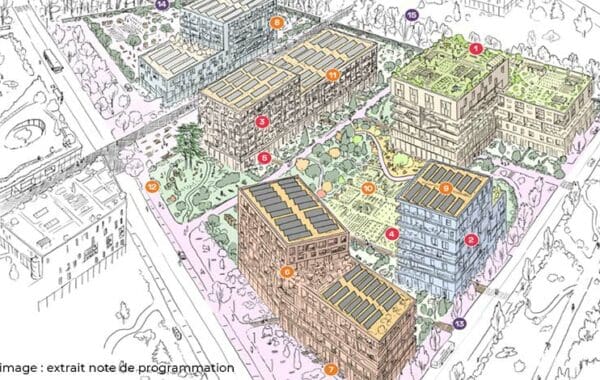 amo concetion durable