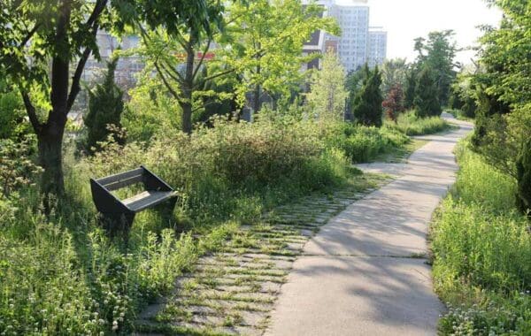 terao-biodiversite terao amo ecologue